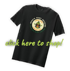 click here to shop!
